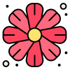Fiore Fiore